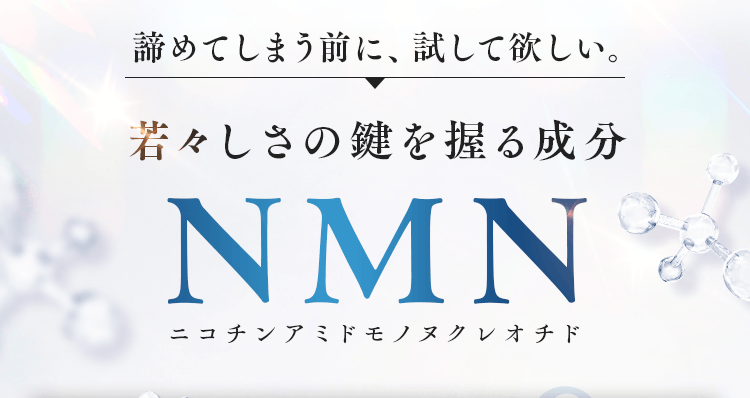 若々しさの鍵を握る成分