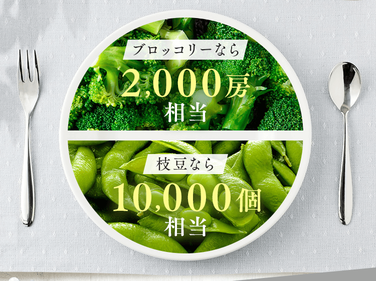 ブロッコリーなら2,000房相当