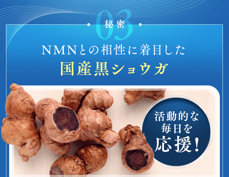 NMNとの相性に着目した国産黒ショウガ