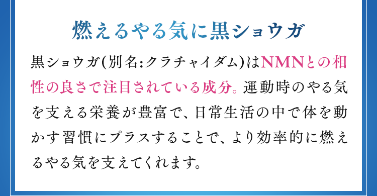 燃えるやる気に黒ショウガ